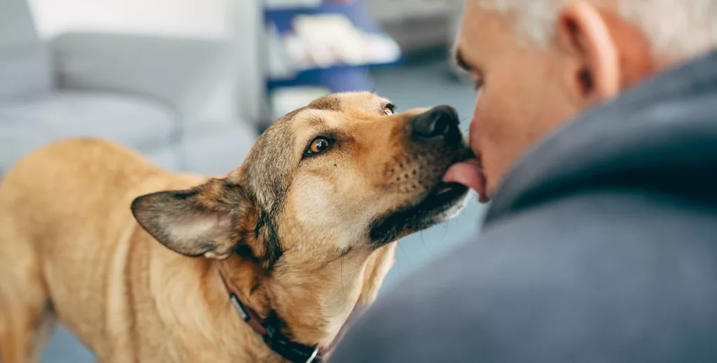 Dein Job mit Wow Effekt | Job beim Pflegedienst